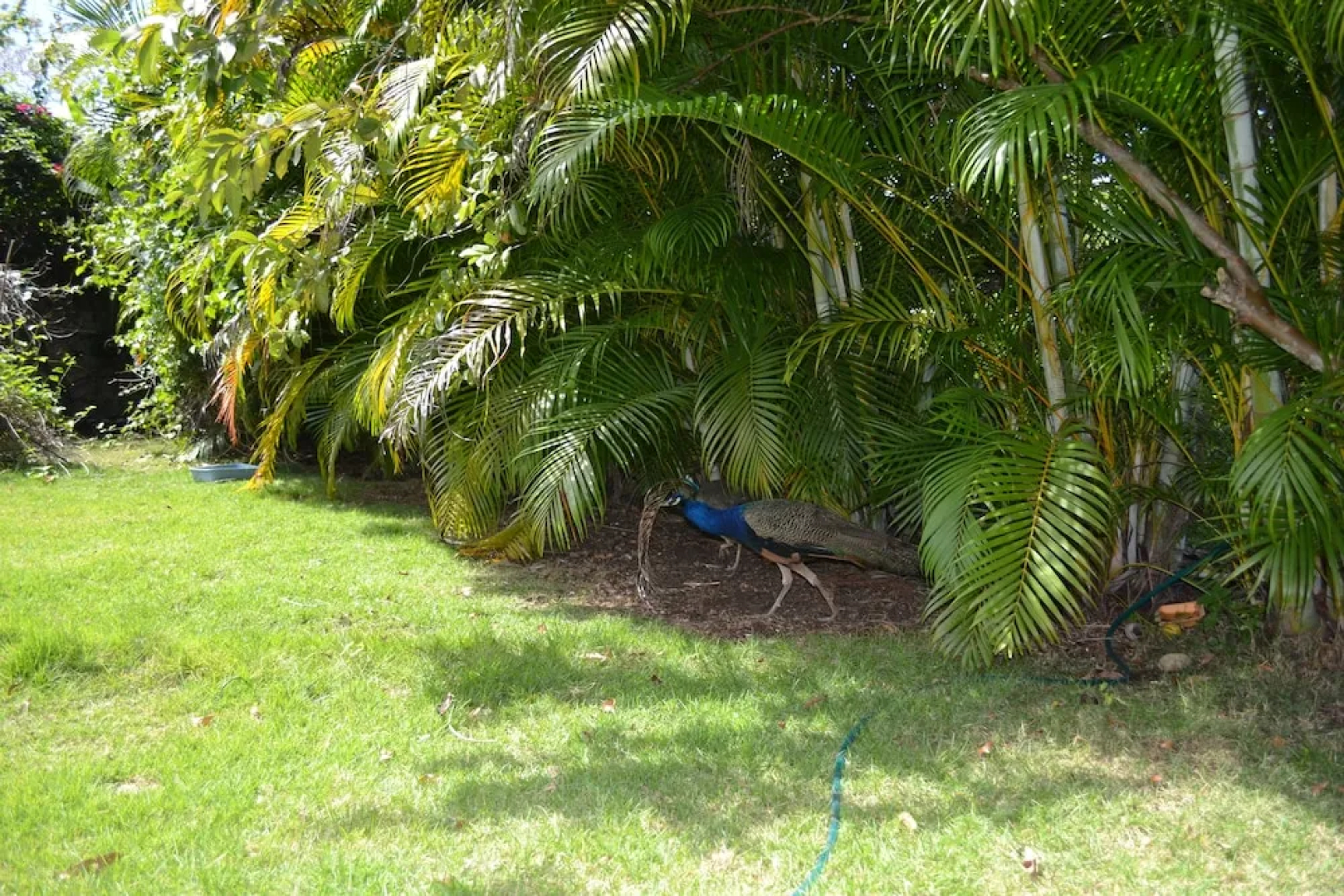 Villas at the Residence Sosnovka