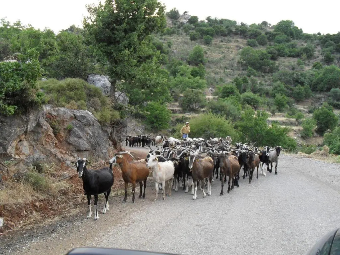 Tiros Apartments Armonia