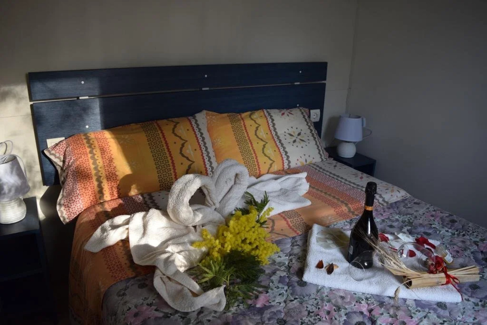 Villaggio Camping Bosco Selva