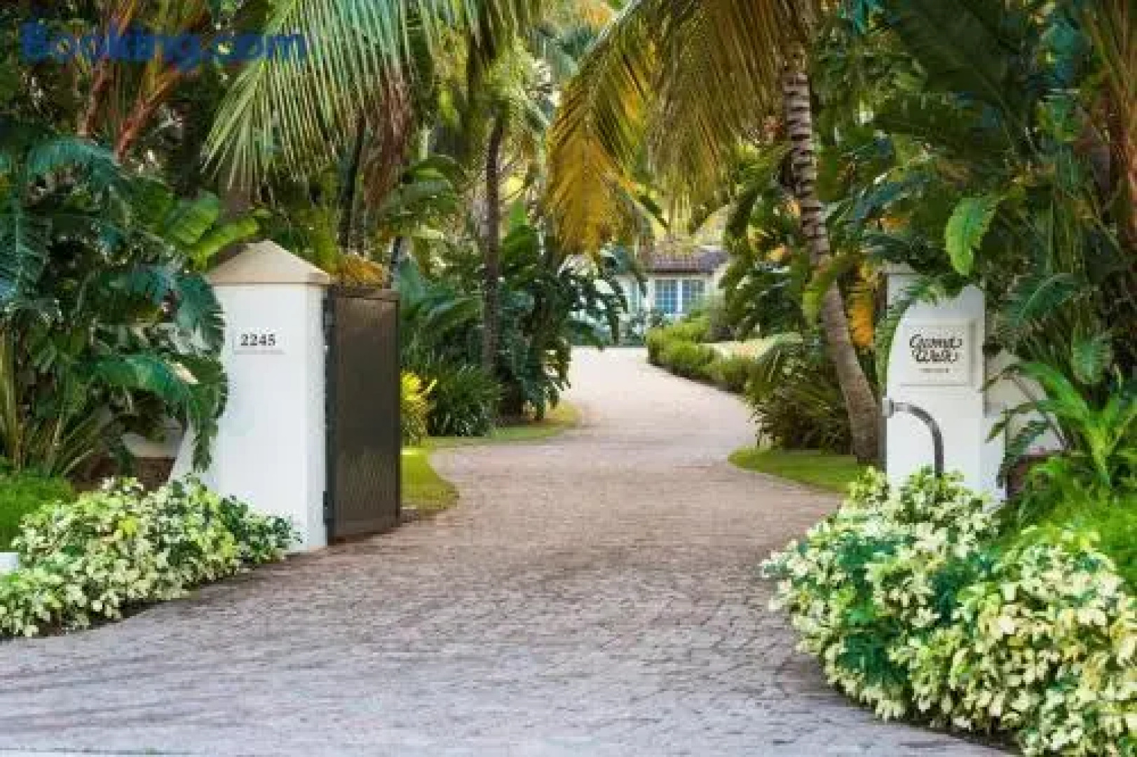 Coconut Walk by Grand Cayman Villas & Condos