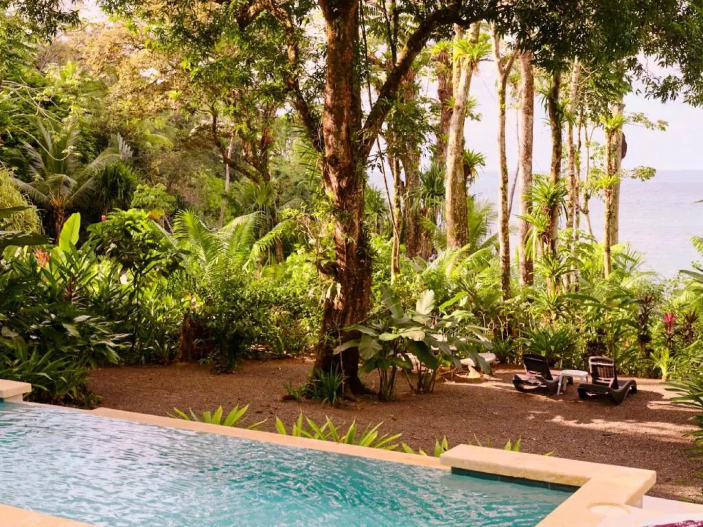 Copa De Arbol Beach & Rainforest Resort