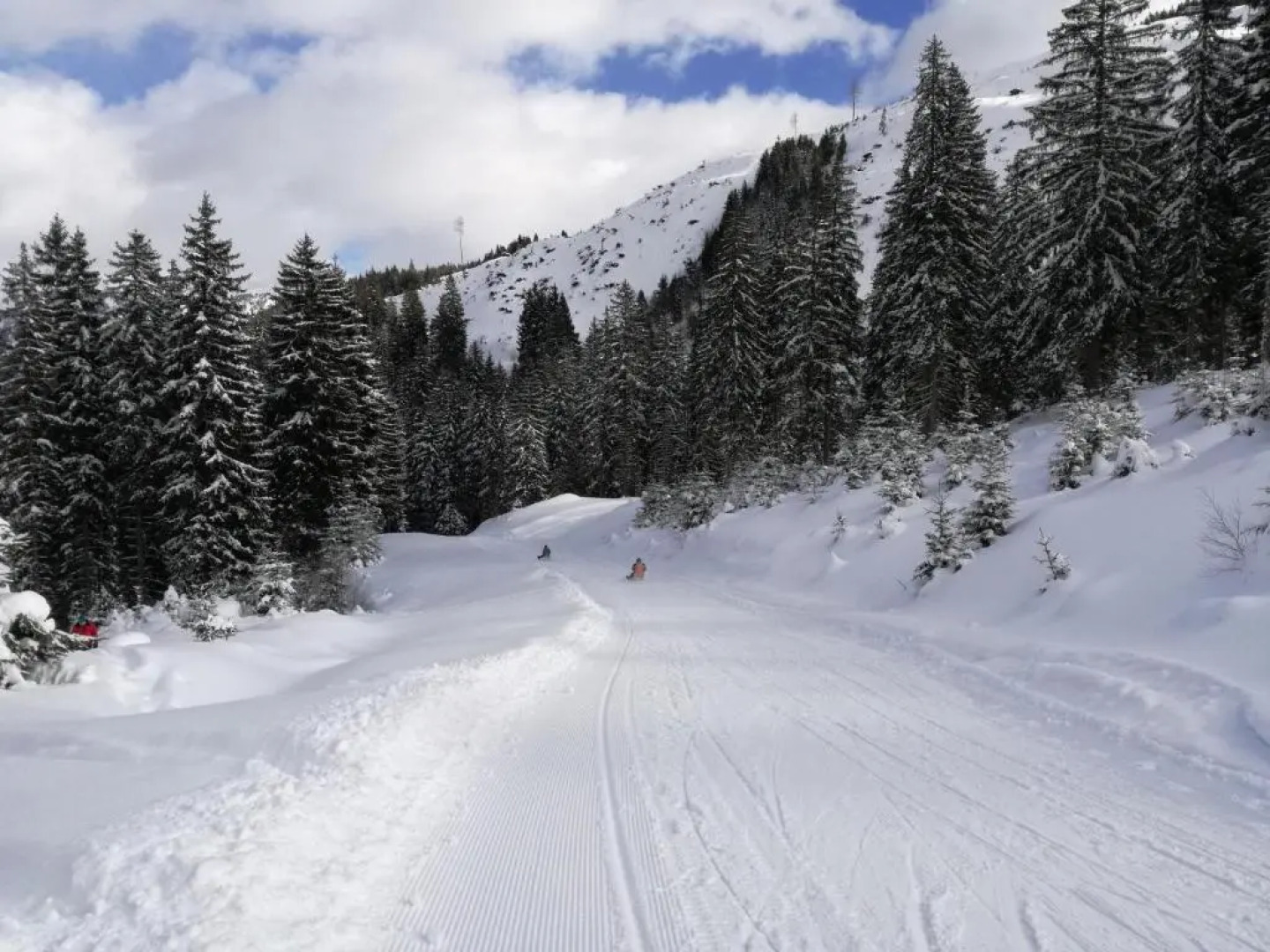 Familien & Wander-Pension Purkhardt