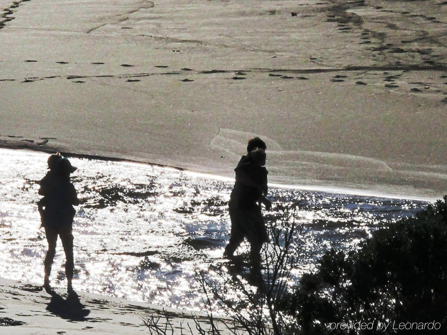 Margarets in Town Apartments