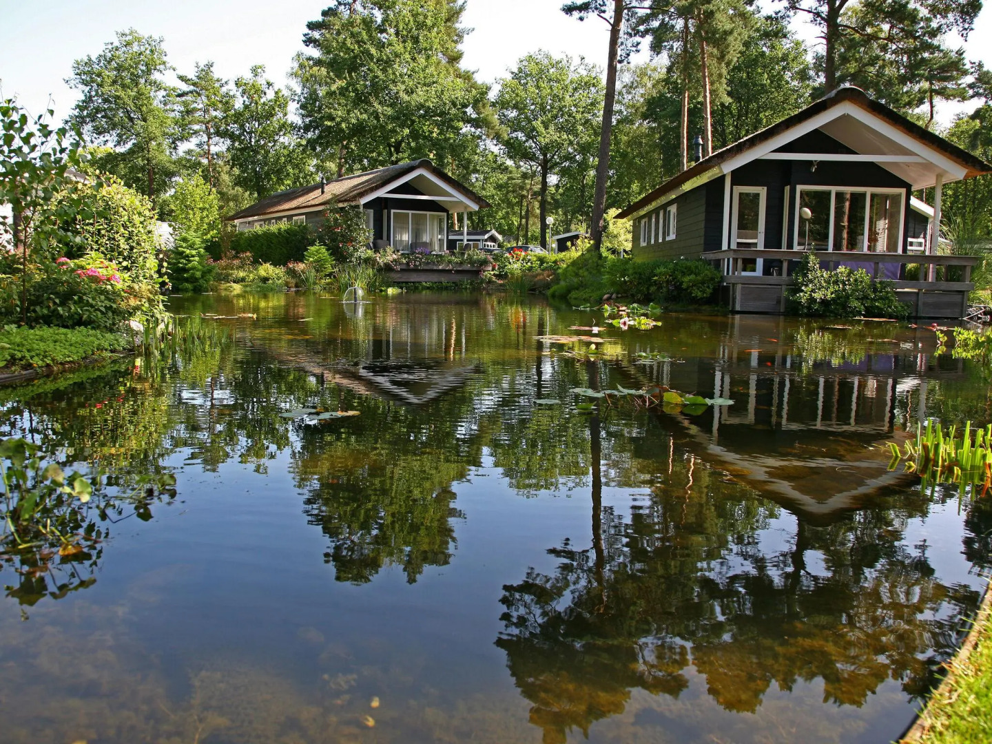 House on Water, Surrounded by Nature