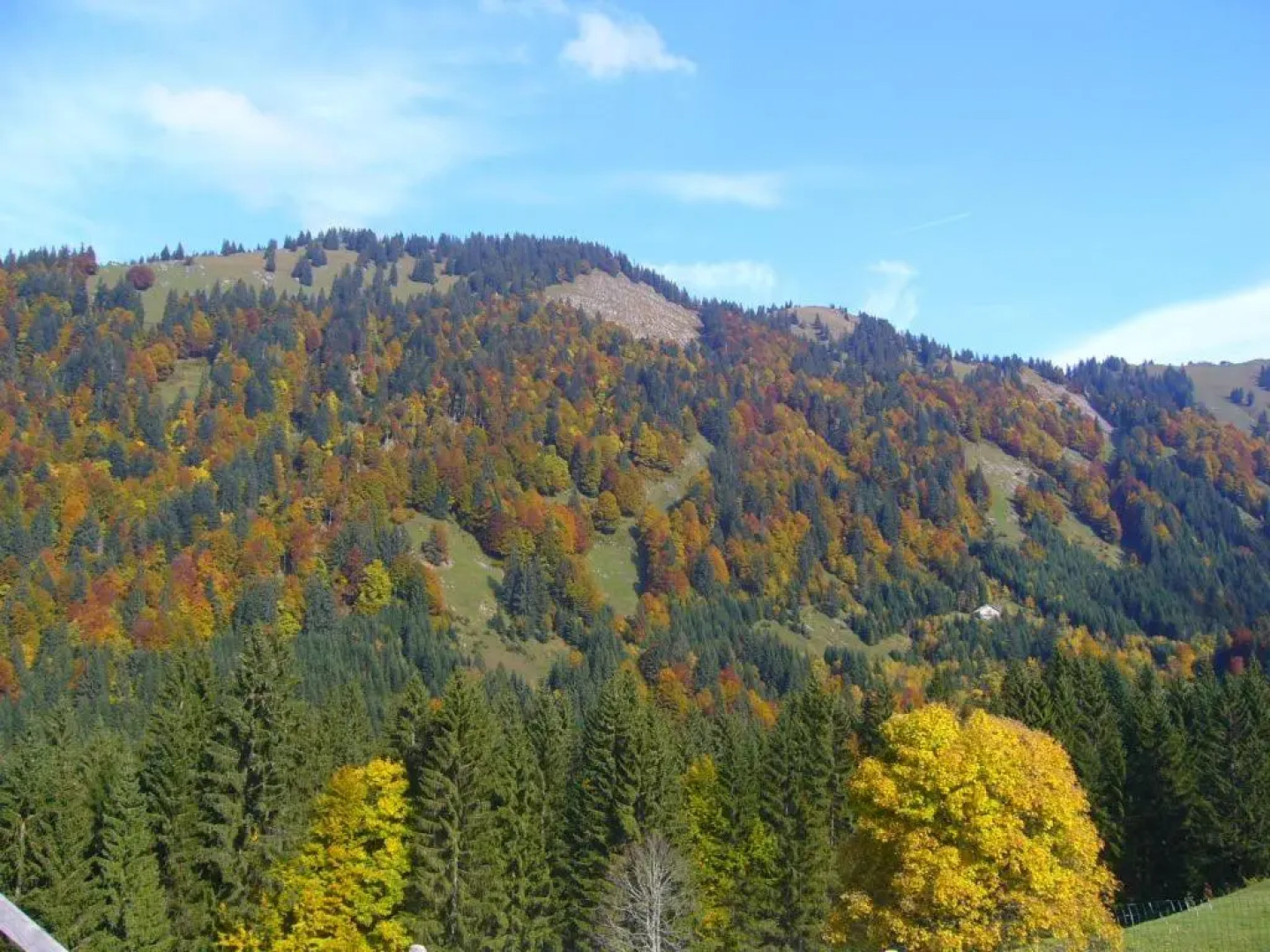 Ferienhaus Kälberweide