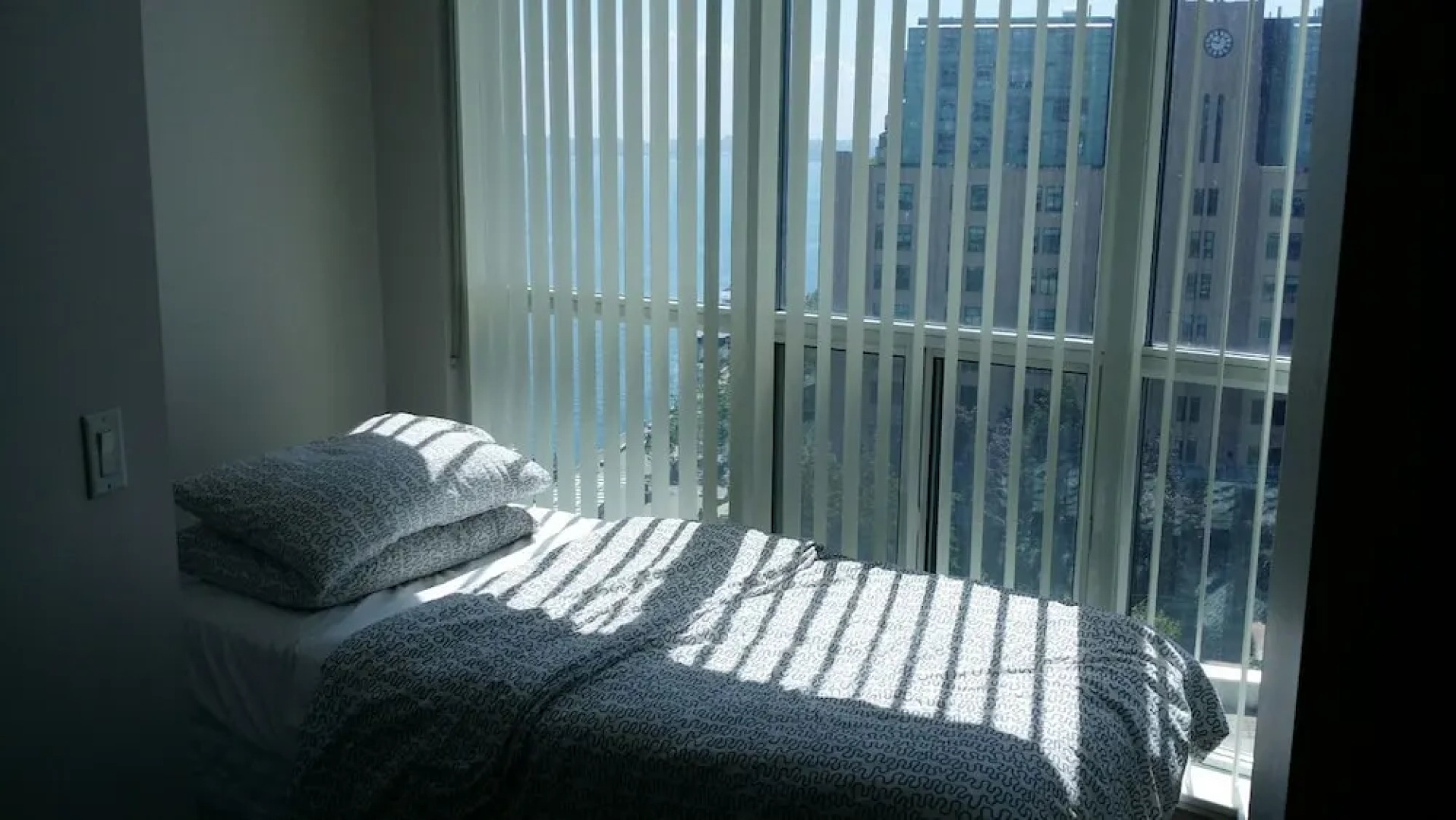 Pelican on the Harbour