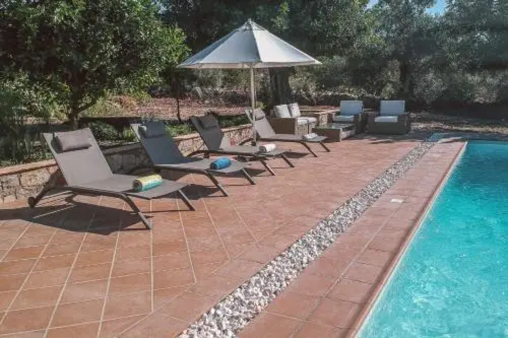 Monte 3 Alfarrobeiras