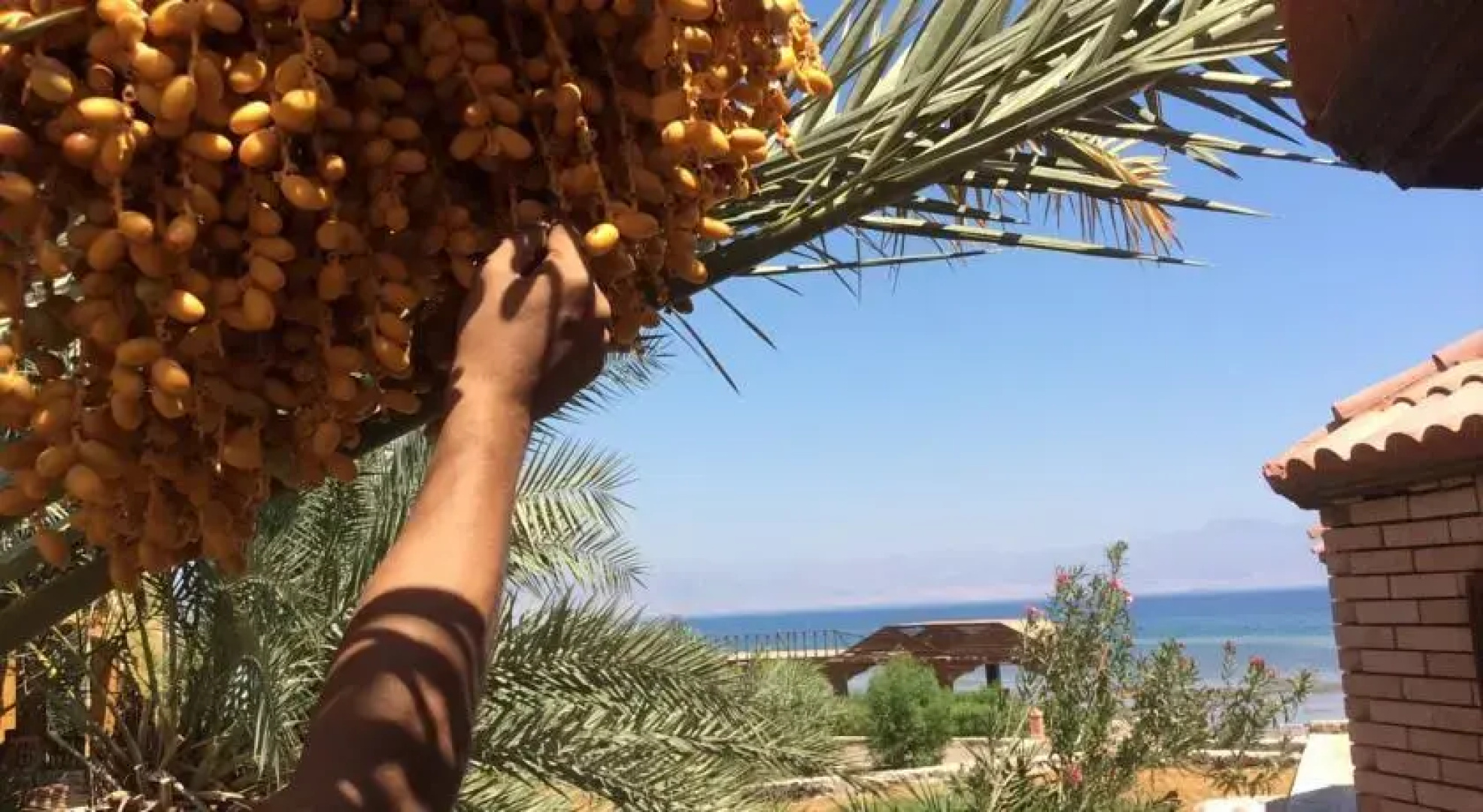 Saraya Beach