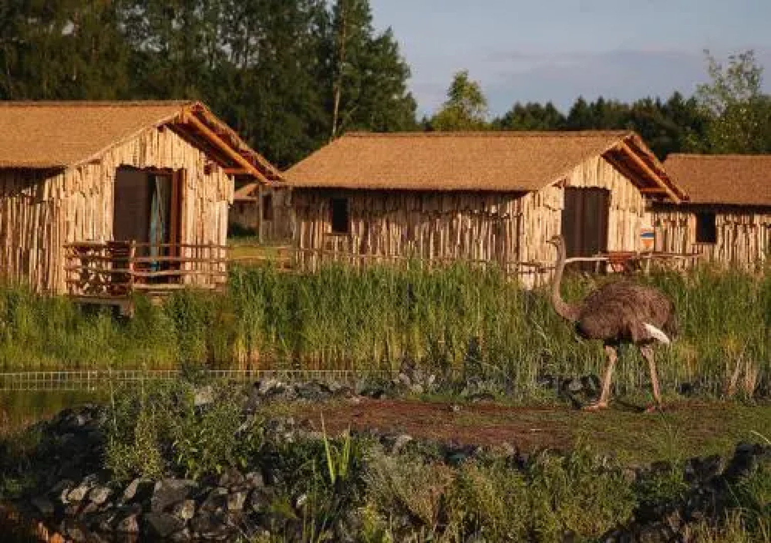 Serengeti Park