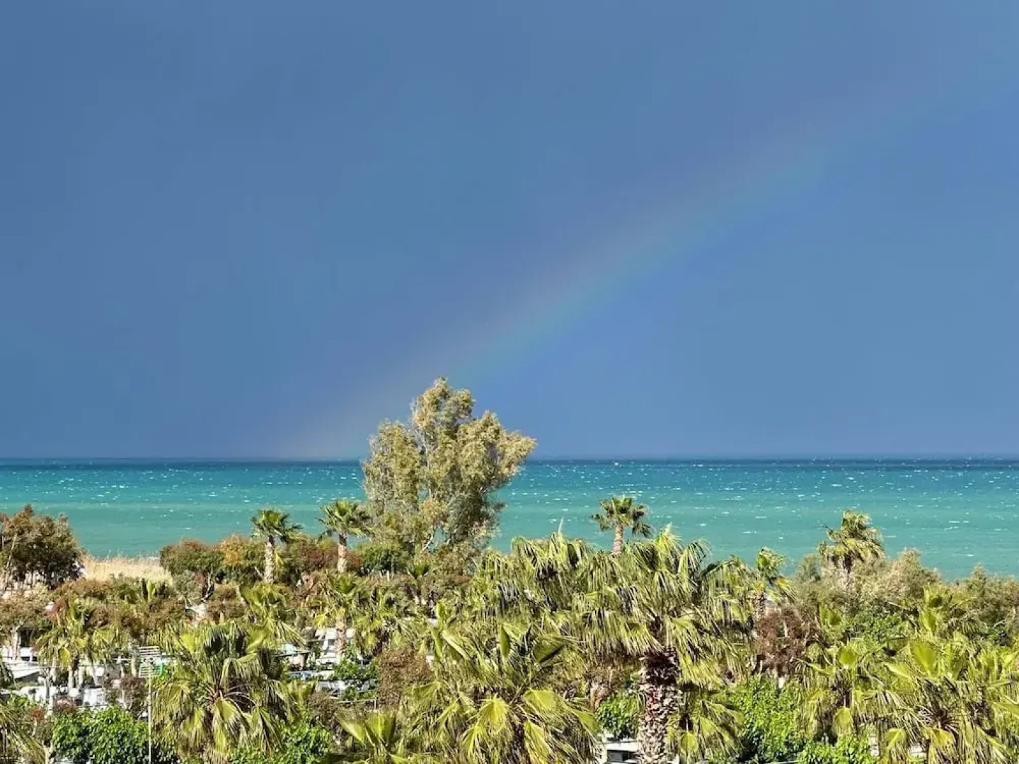 World Magic Vacaciones 5