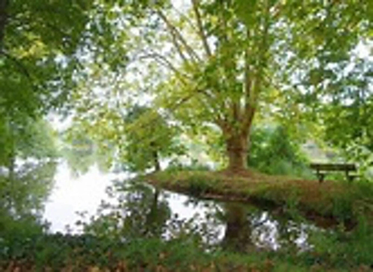 Chalet With 2 Bedrooms in Saint-paul-lès-dax, With Terrace and Wifi -