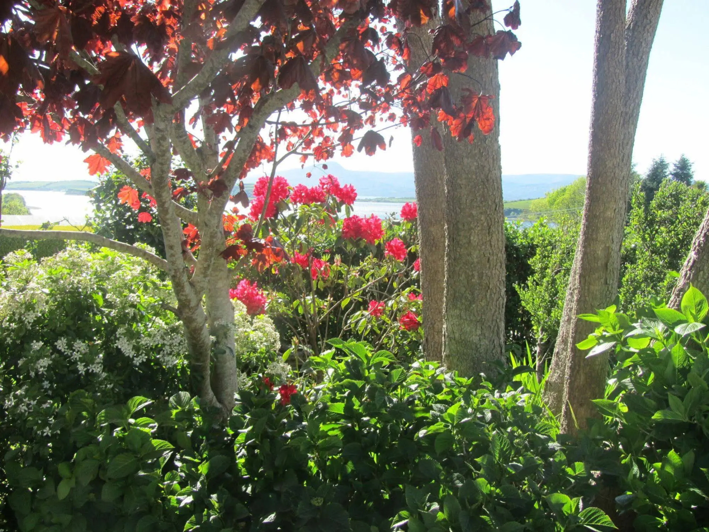Edencrest Bed & Breakfast