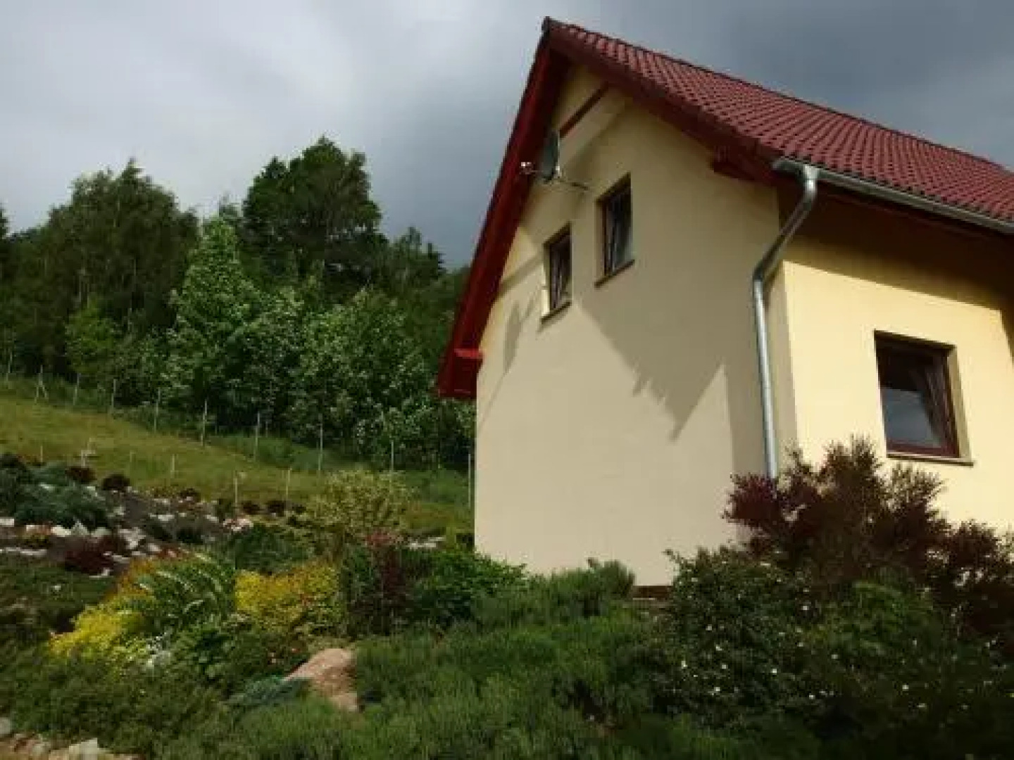 Ranczo Spełnionych Marzeń