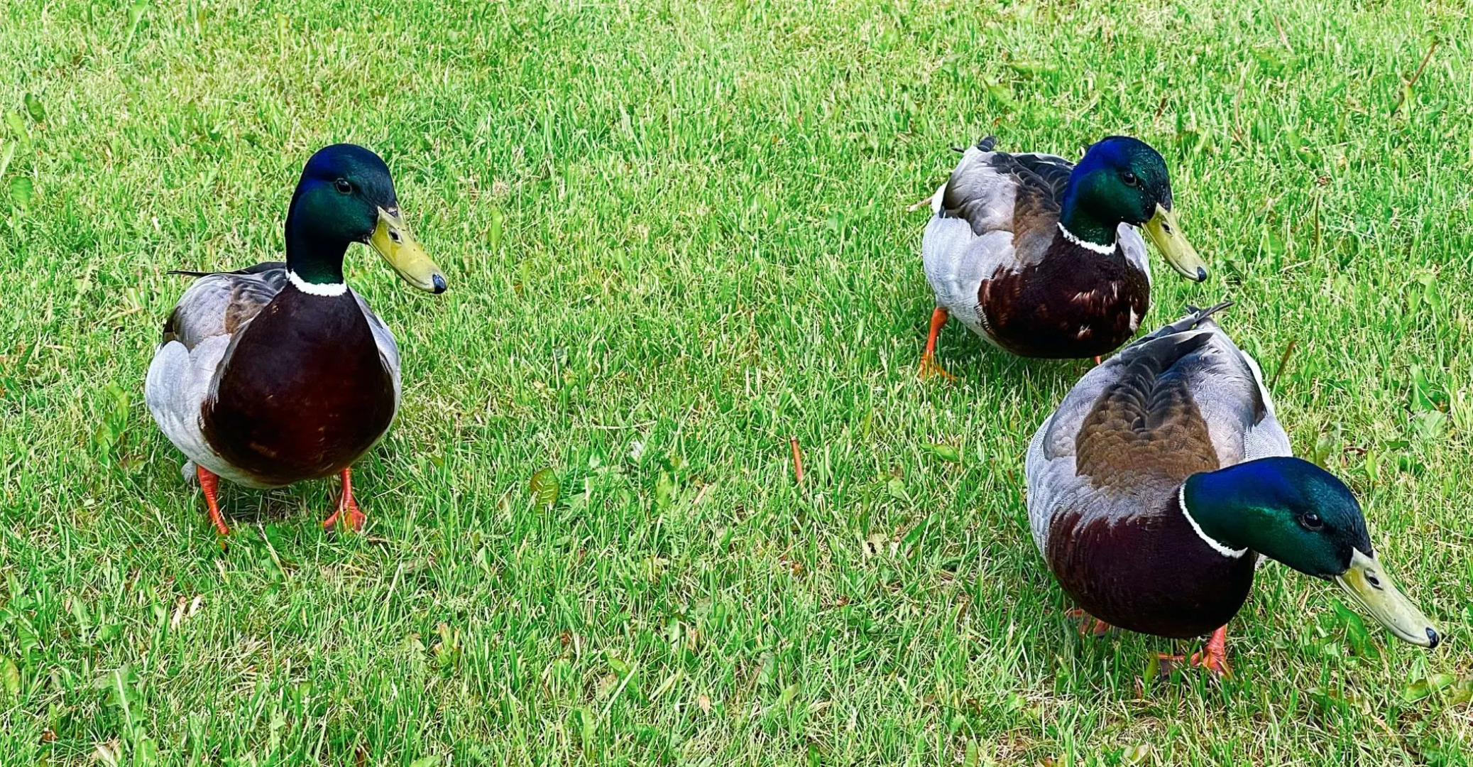 Дом на Валдае. Отдых у озера