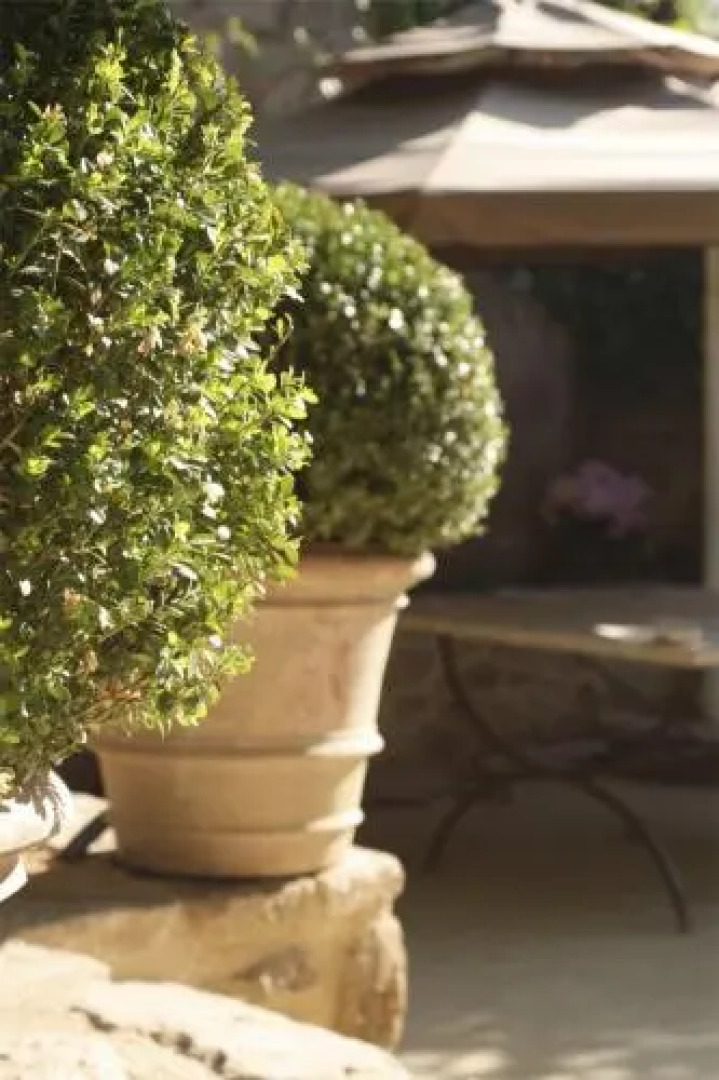 Hotel Restaurant Chartron