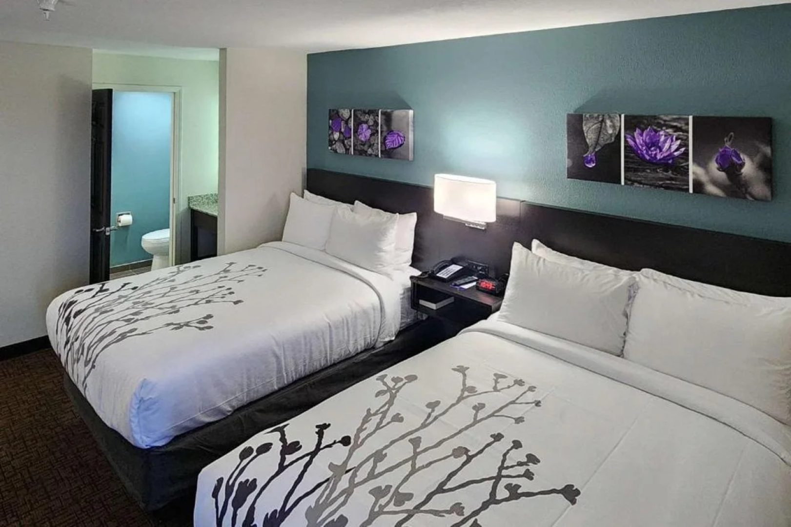 Sleep Inn Olathe - Kansas City