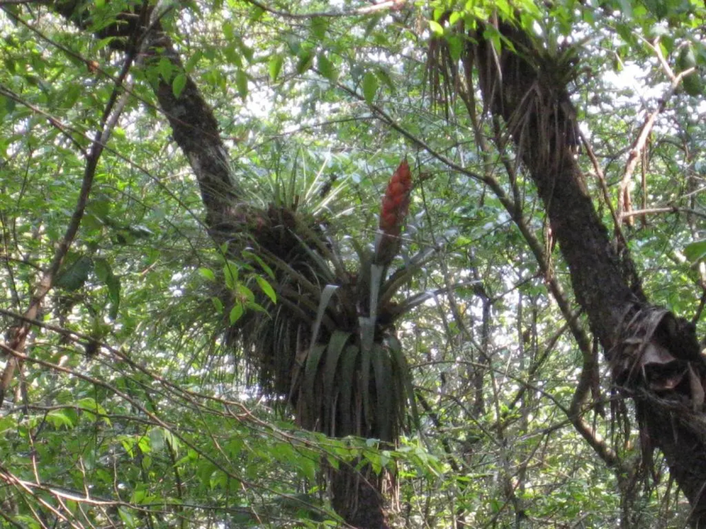 Hotel Molino de la Alborada