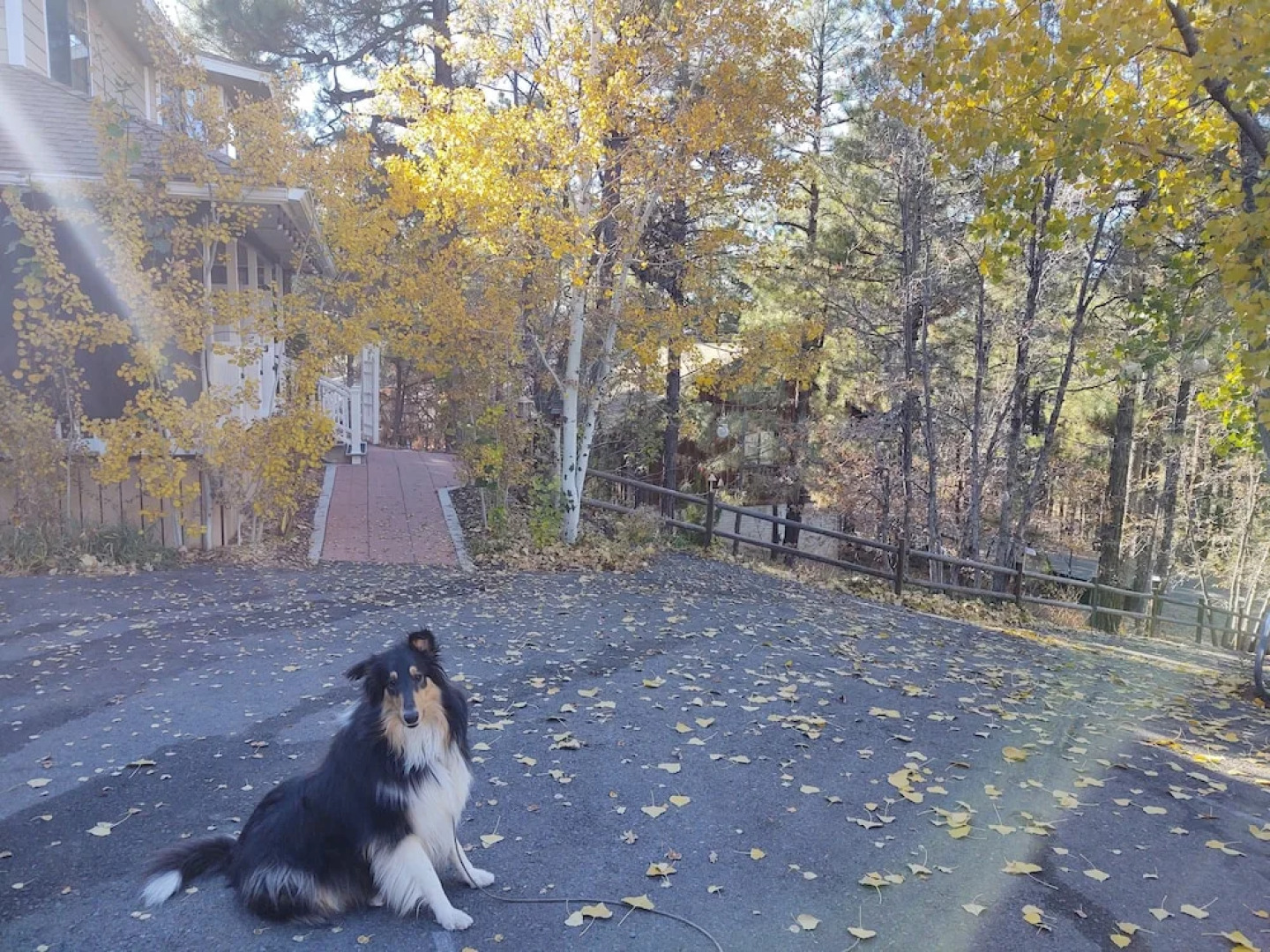 Sheridan House Inn - Adult Only