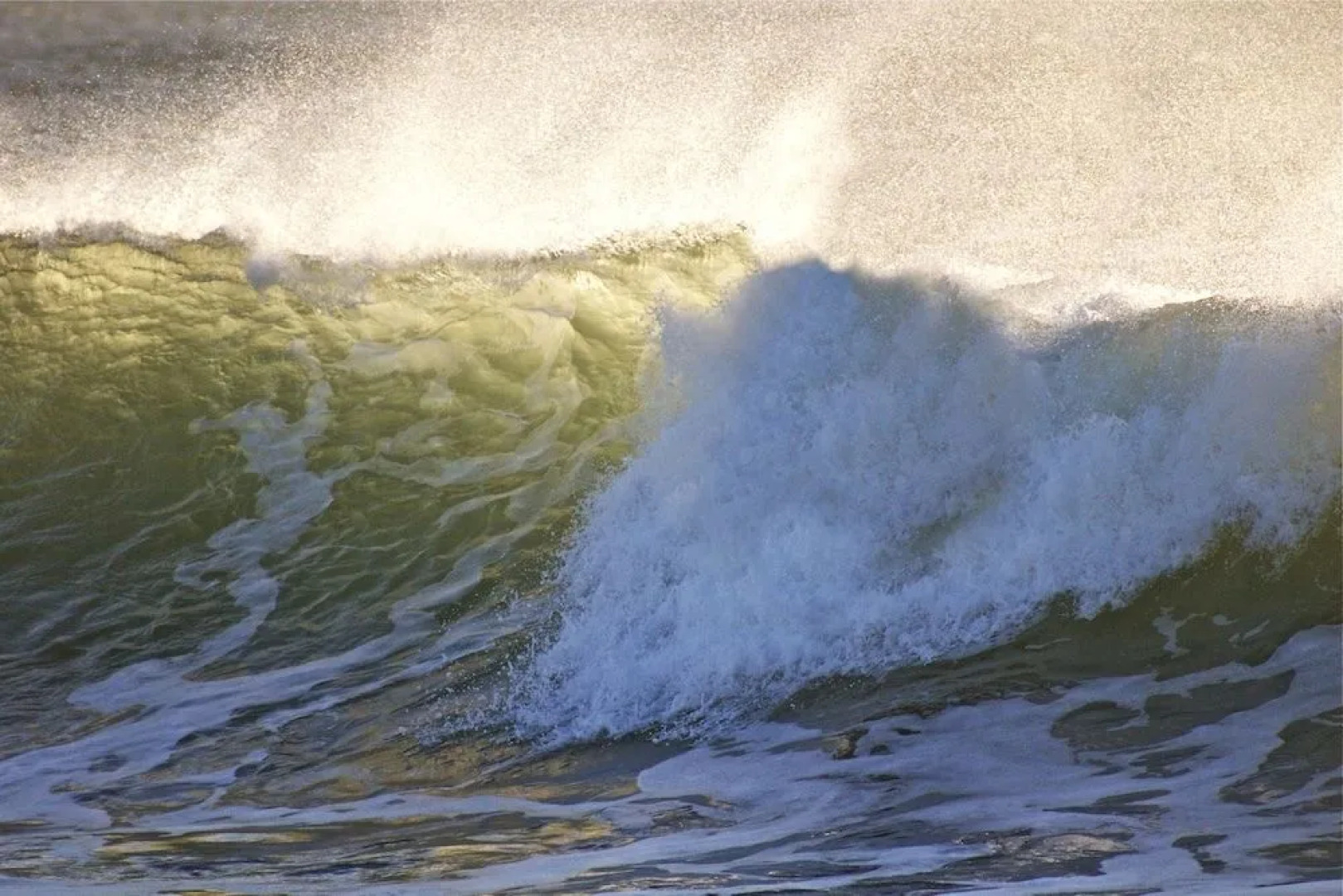 Kokua Surfarm - Hostel