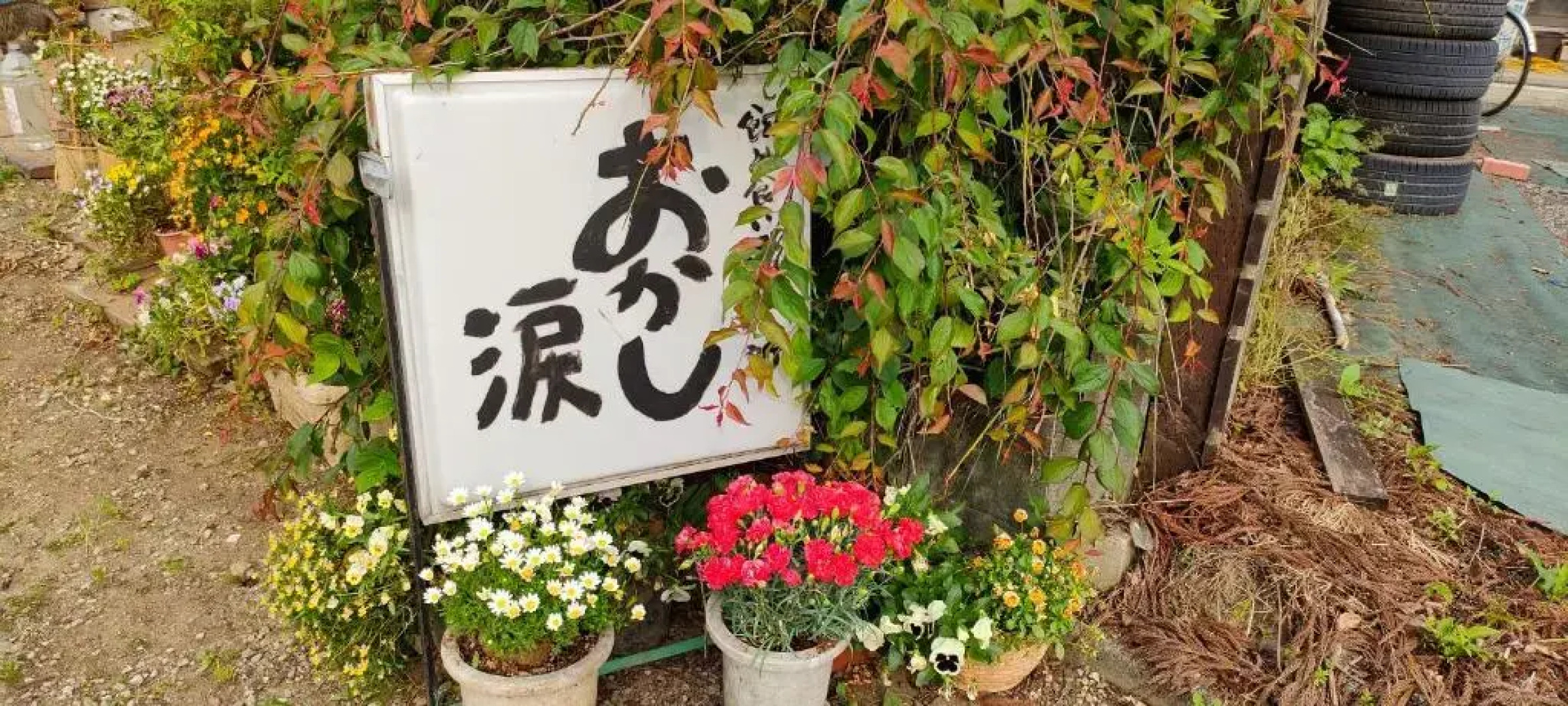 きっとあい楽館