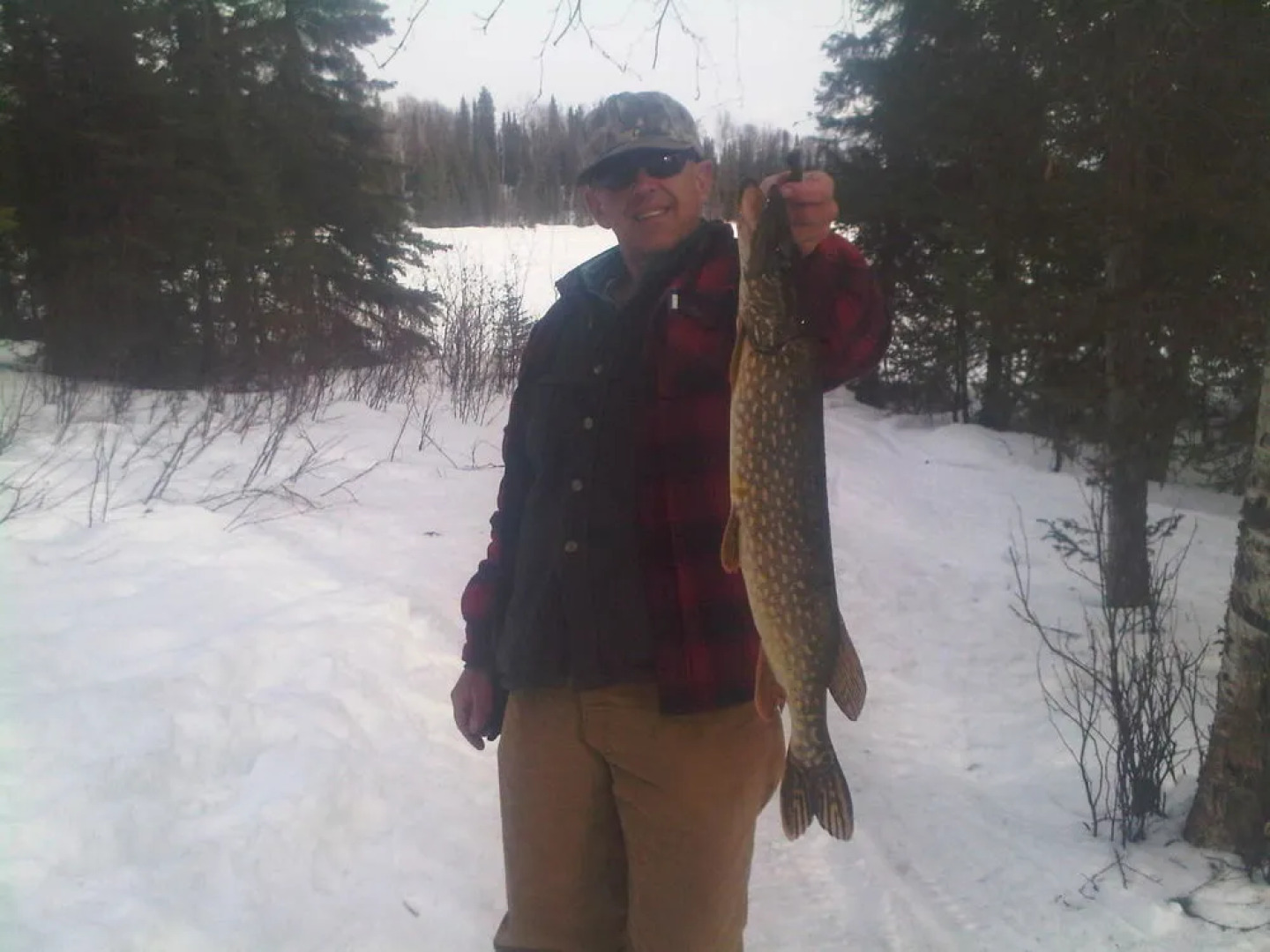 Mooseberry Cabin, Willow AK