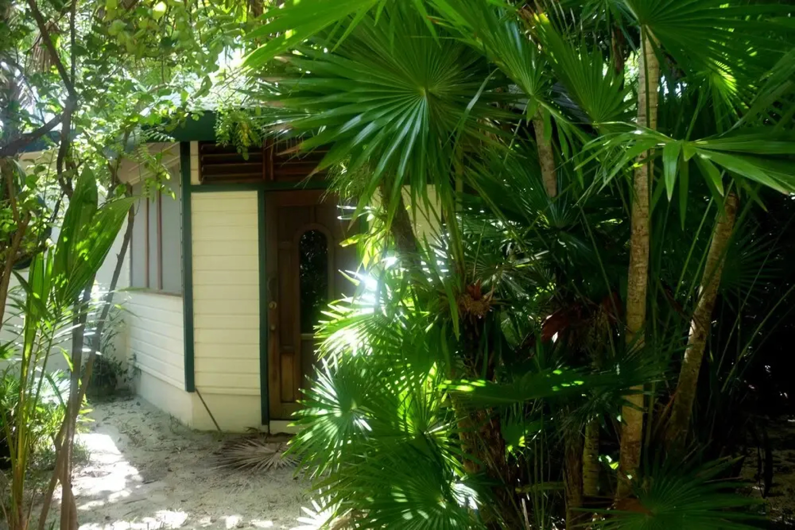 Jungle Cocoon