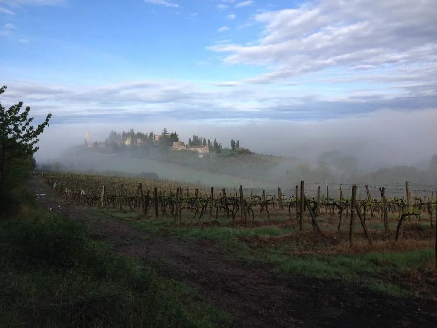 La Canonica Di Cortine