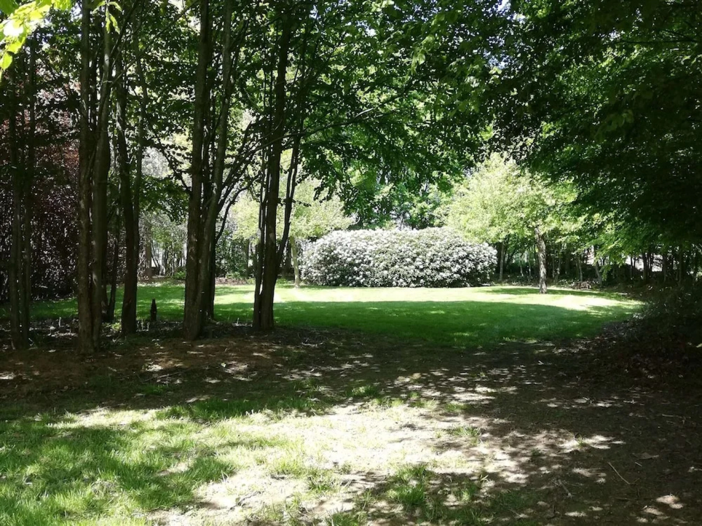 Beautiful Villa for Groups With Swimming Pool, Sauna and Wifi