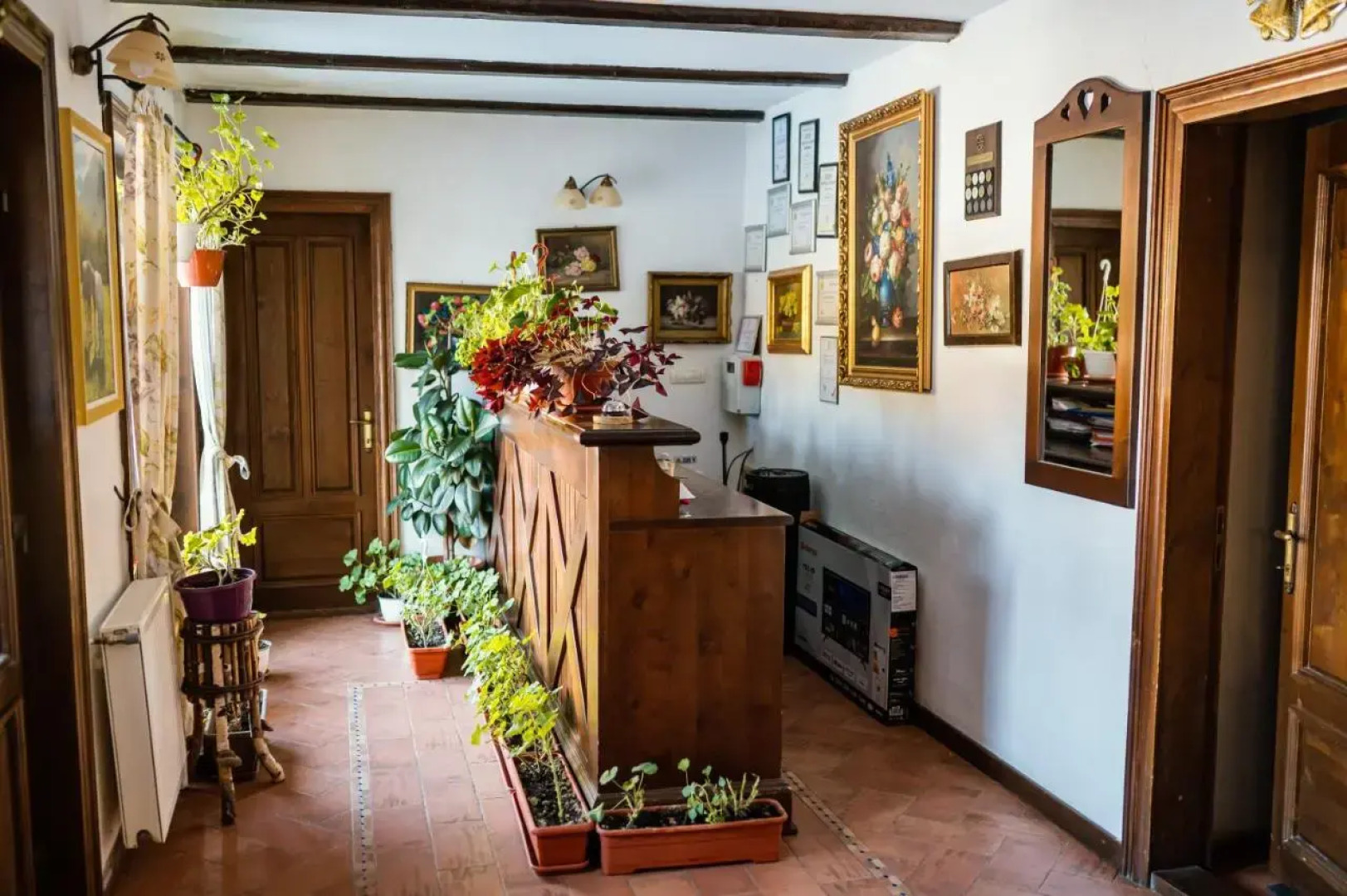 Casa Motului B&B