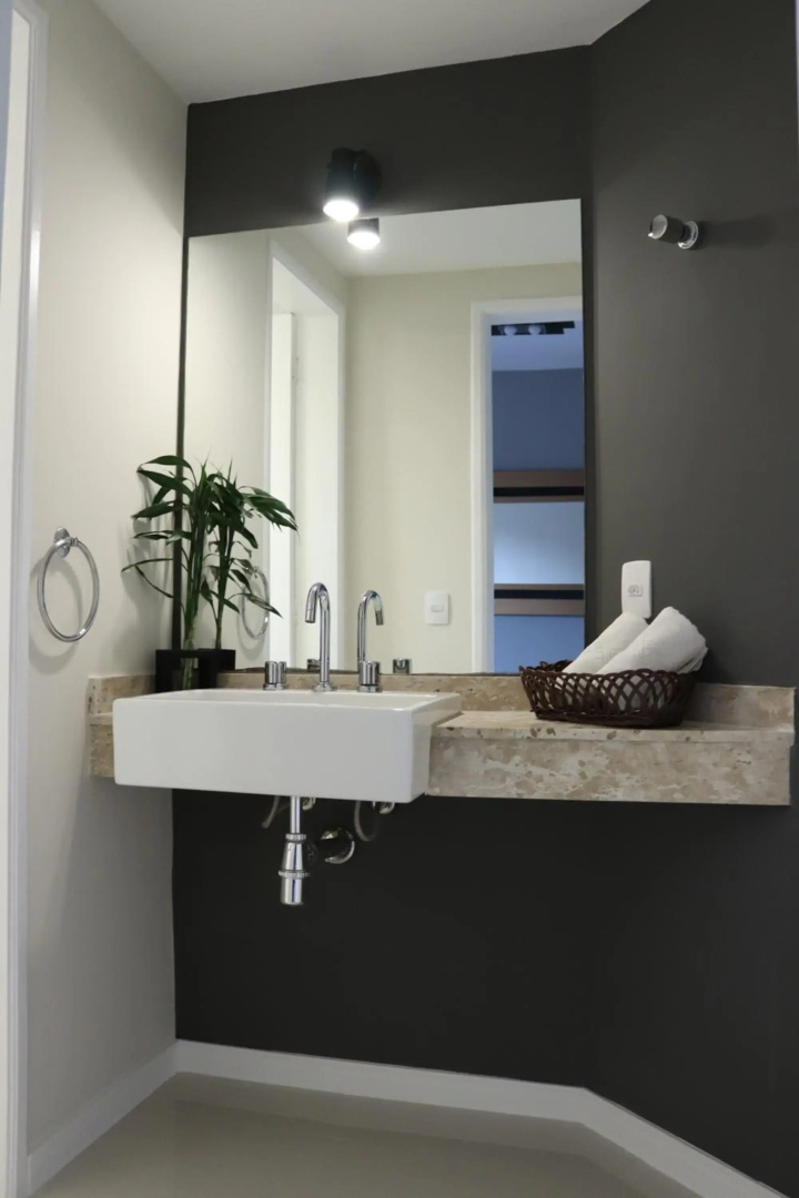 Royal Ibirapuera Park flat