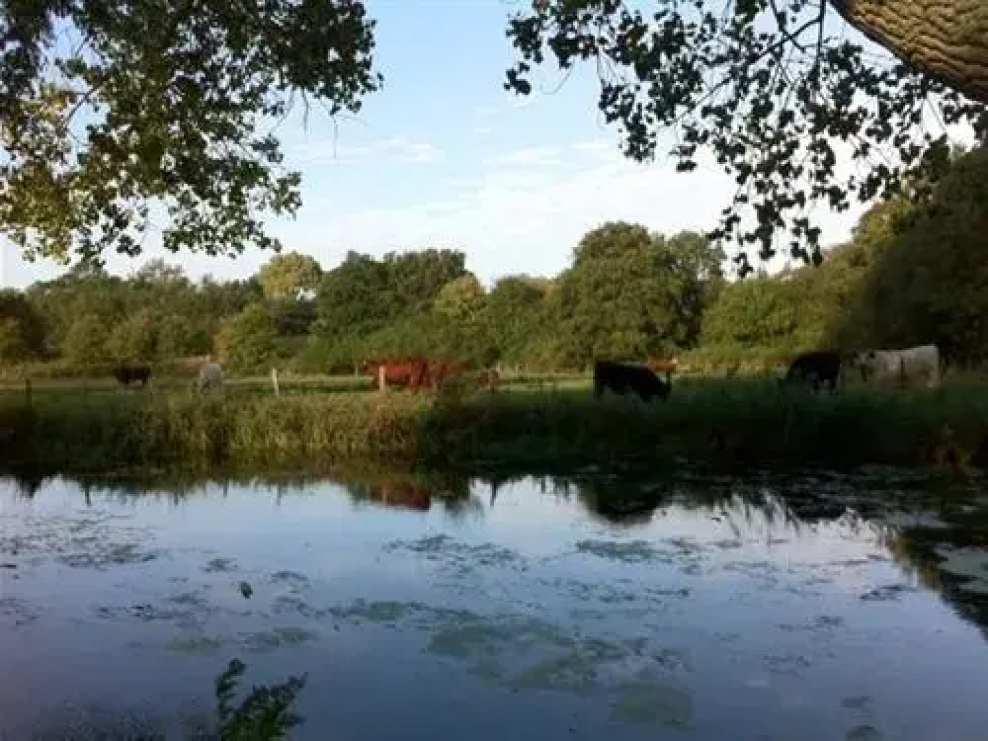 The Long Melford B&B