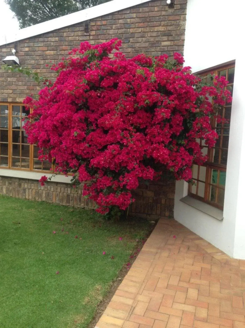 Serenity Guest House