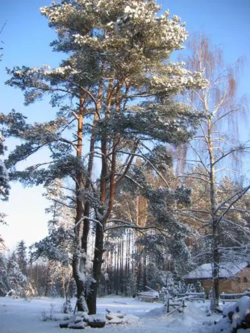 Усадьба Машин Хутор