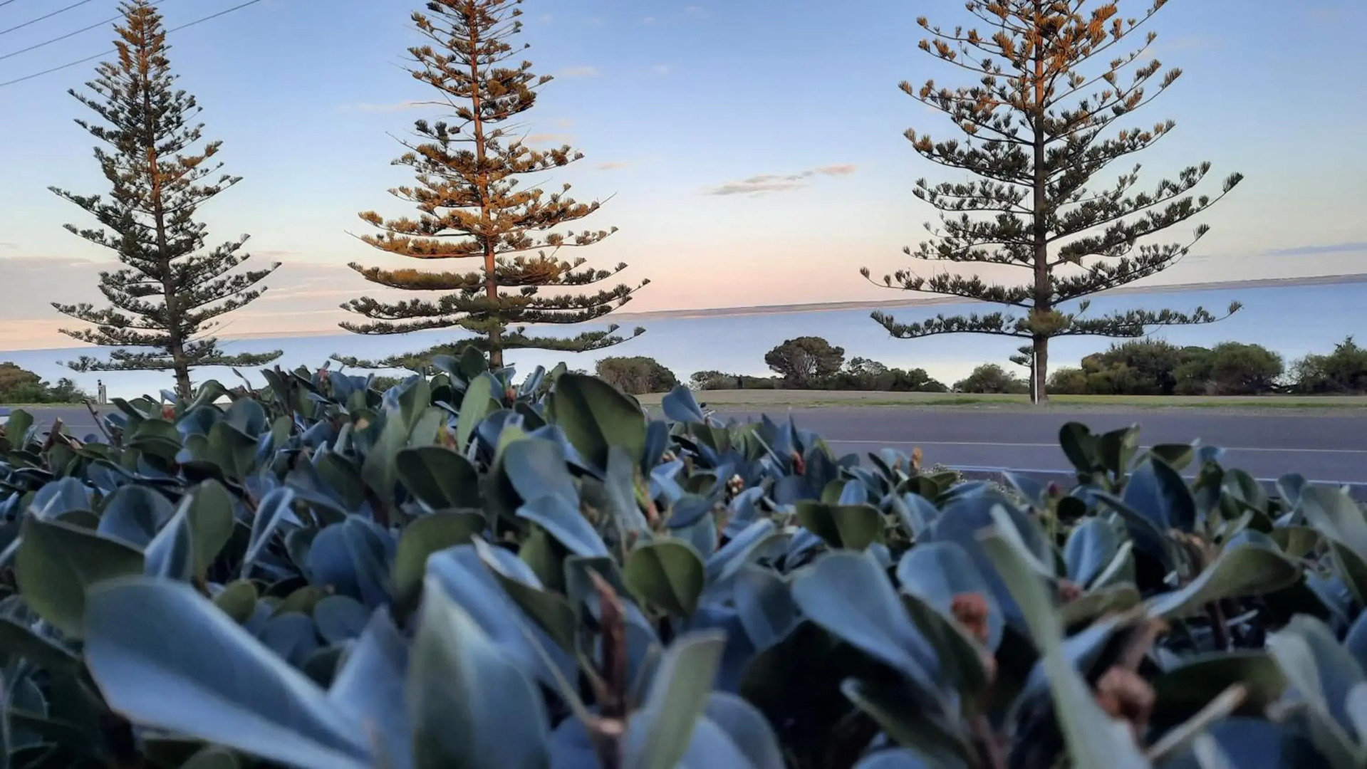 Captains on-the-seafront - 4 br stunning sea views