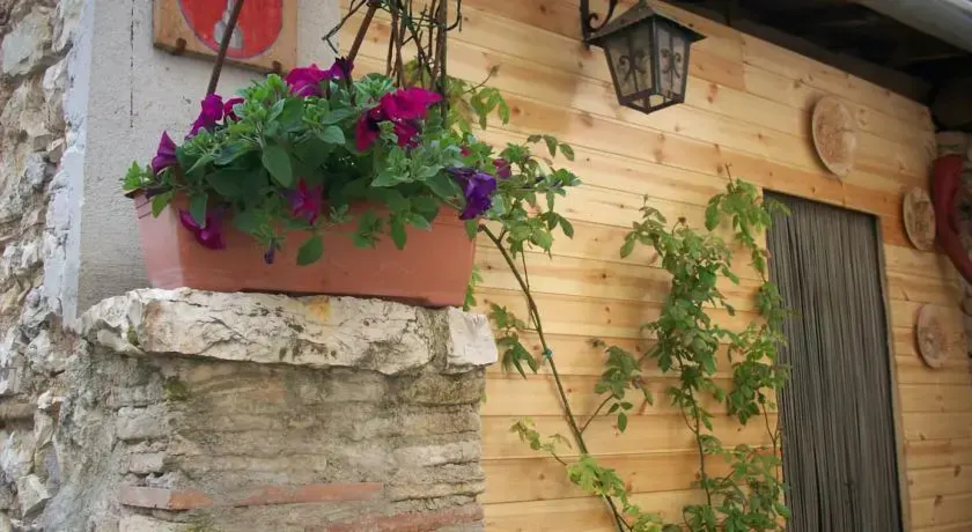 Paolo e Lella leonessa