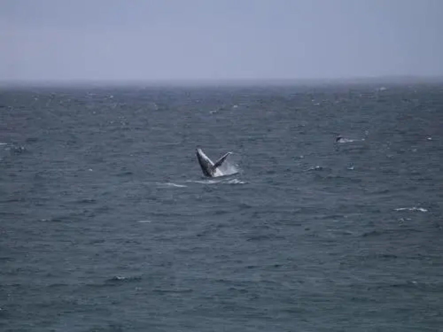 Ocean Views' 4 Ocean Street - air conditioned luxury with beautiful ocean views