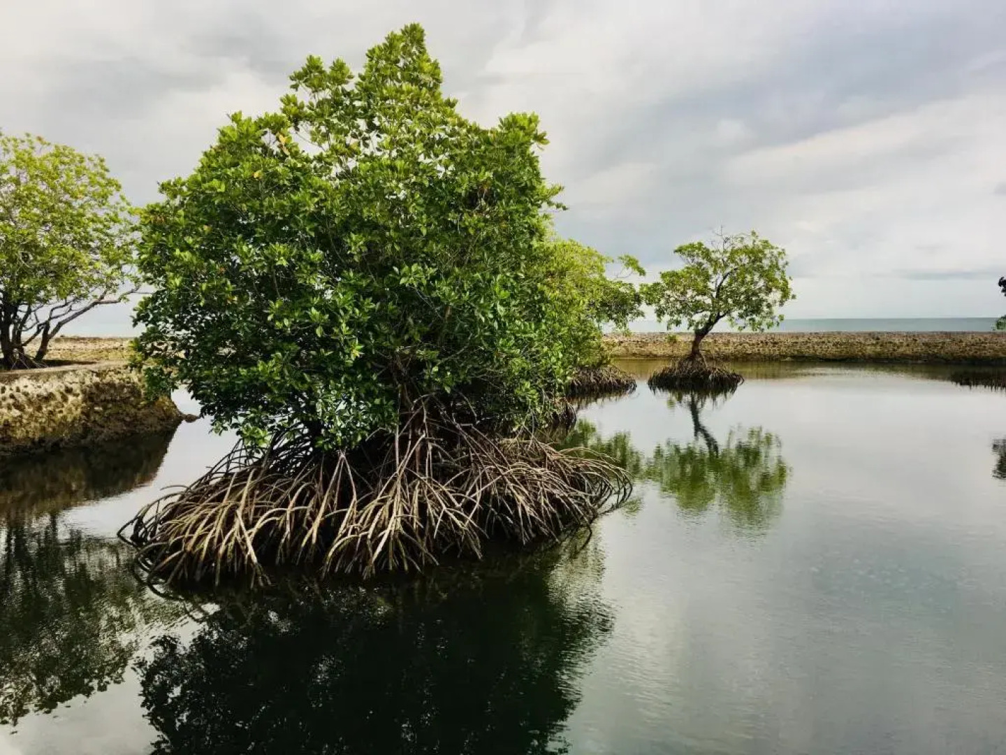 Costa Aguada Island Resort
