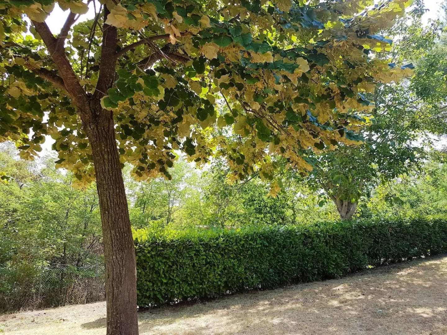 Apartment With 2 Bedrooms in Apsella, With Enclosed Garden and Wifi -