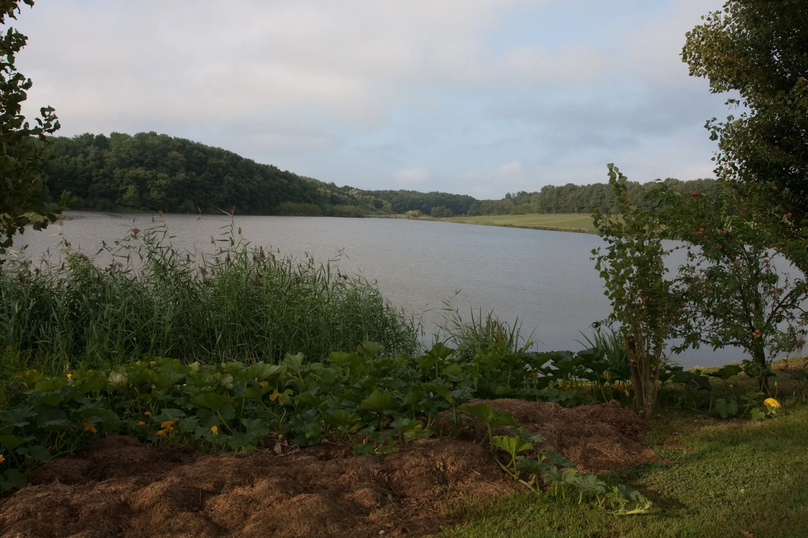 La Ferme De Montalibord