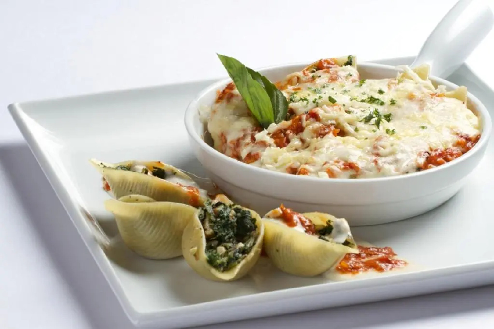 Hotel Ambience Excellency