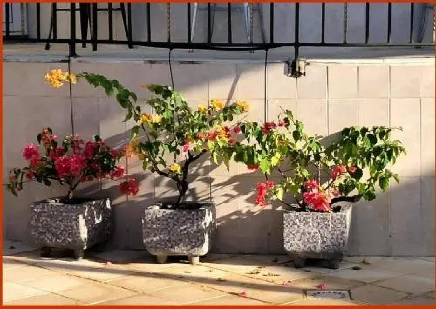 Villa Labrousse (Atypical)