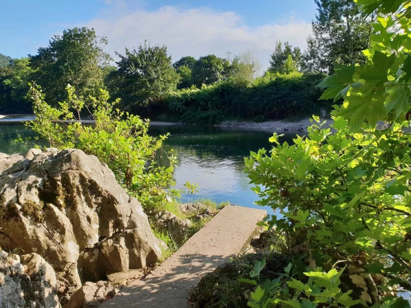 El Búho de la Remolina