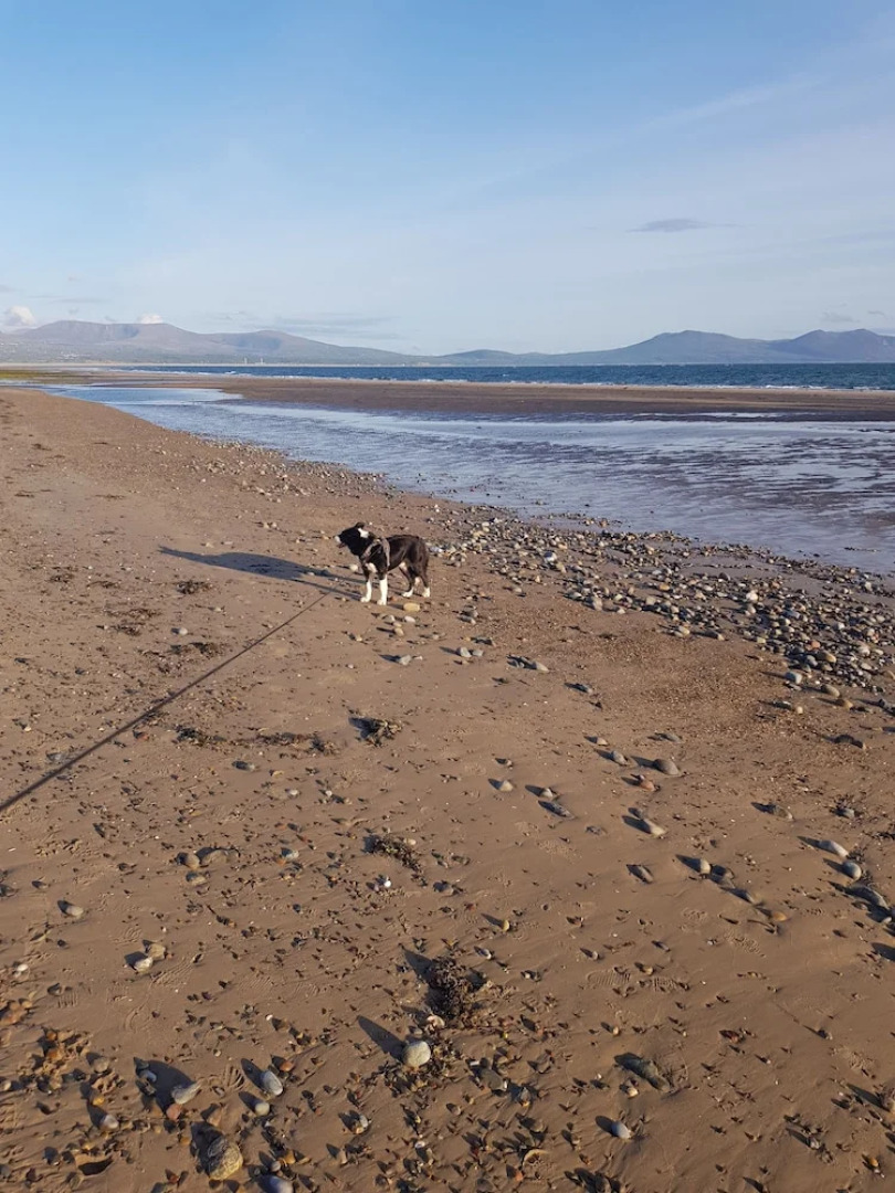Beautiful 2-bed Chalet in Llanfairpwllgwyngyll