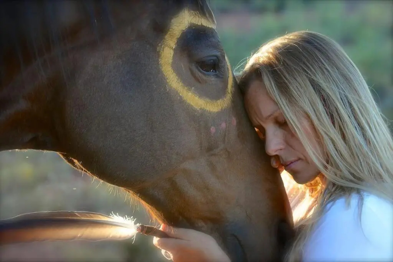 Sedona Sacred Rocks - The Fairy Suite