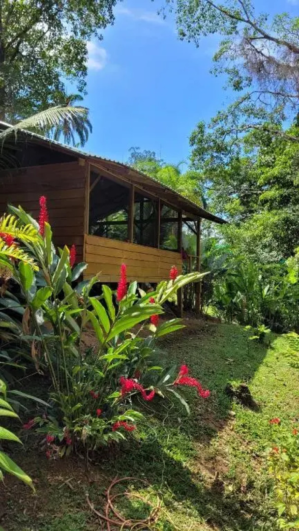 Private jungle “Loft del Rio” river access