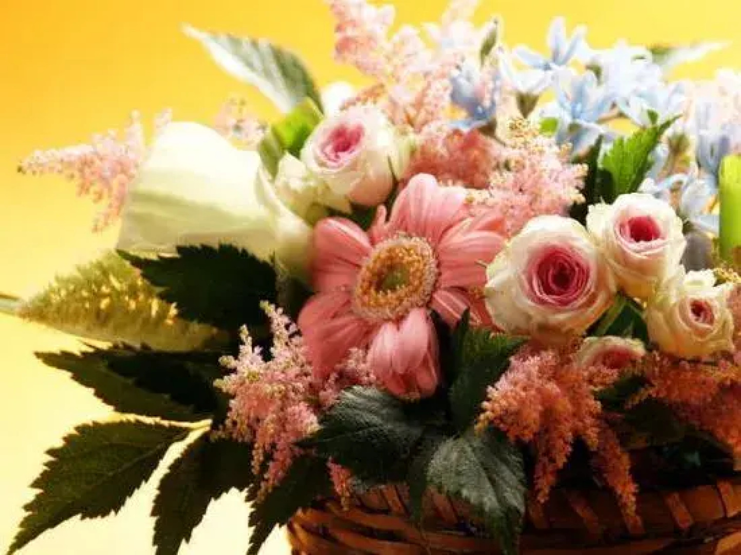 Yunoyado Hakusan Shoubutei