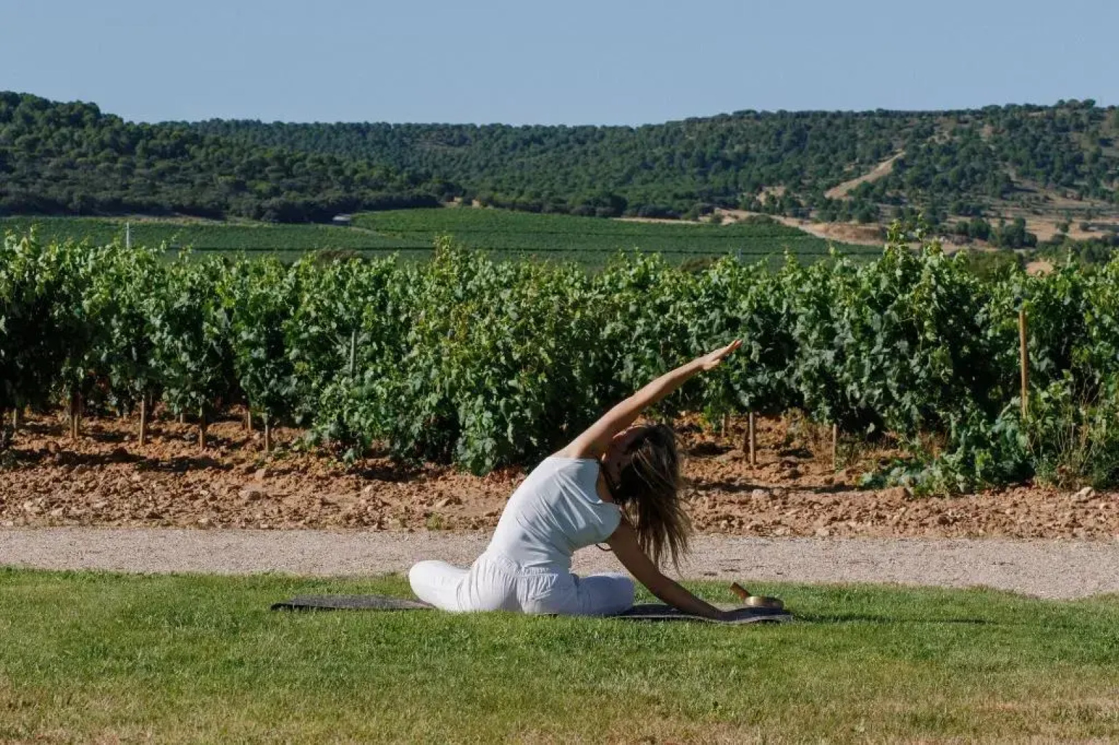 Abadia Retuerta Ledomaine