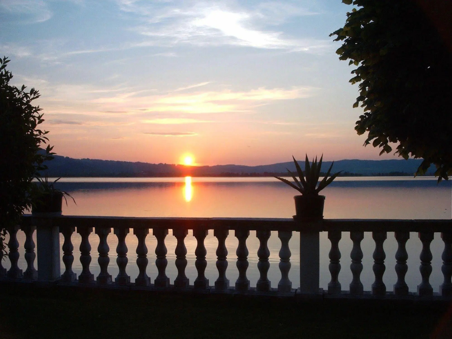 Seehotel Grauer Bär