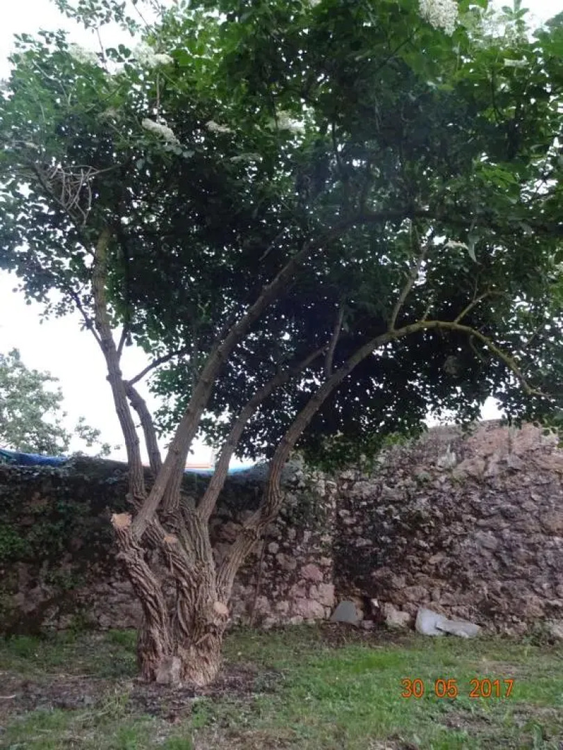 La casona de Villanueva