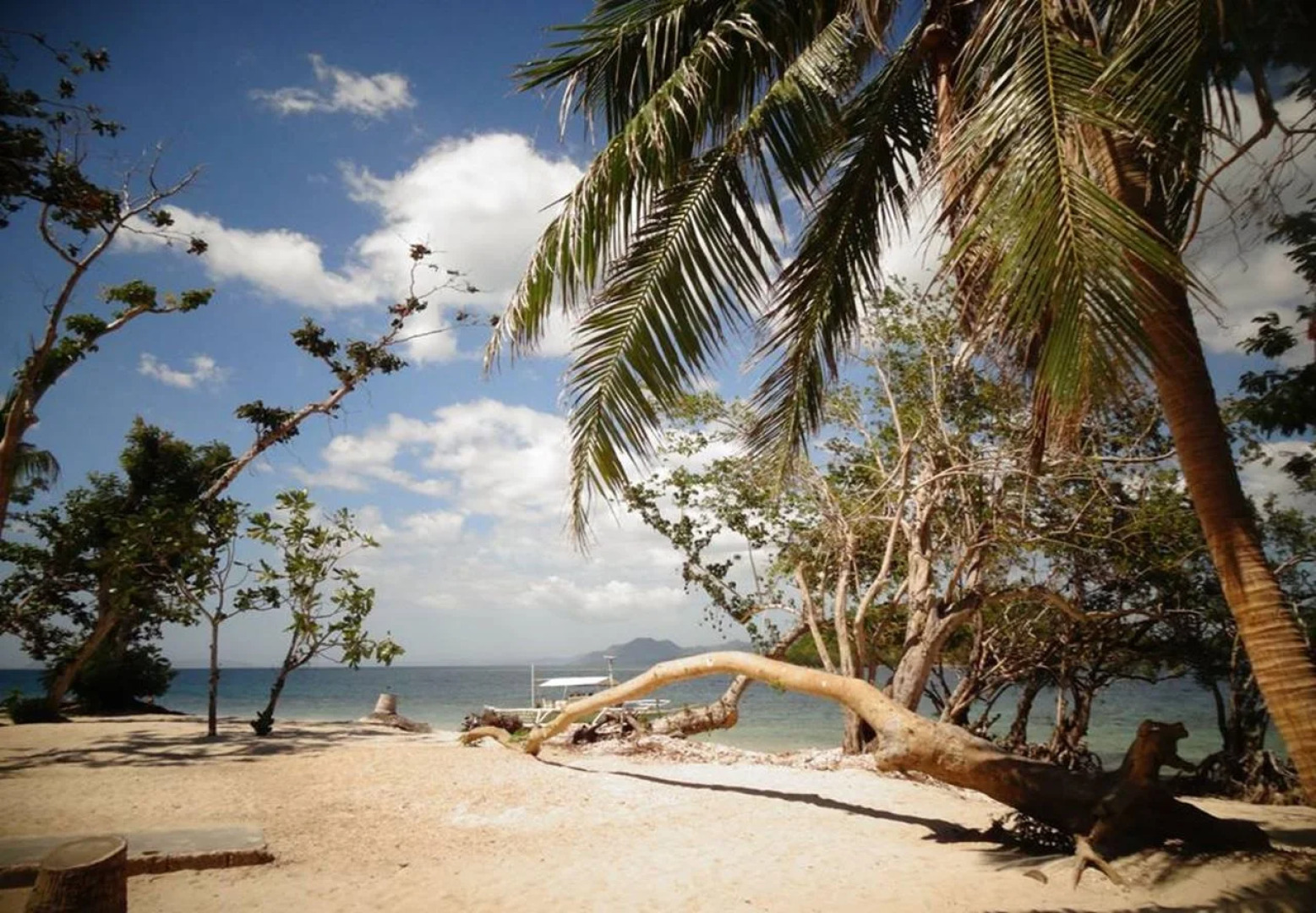 Sanctuaria Treehouses Busuanga
